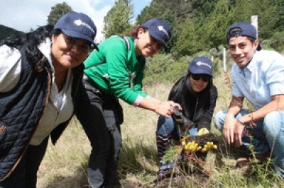 Domino Printing: Reforestando México por Tercer Año Consecutivo