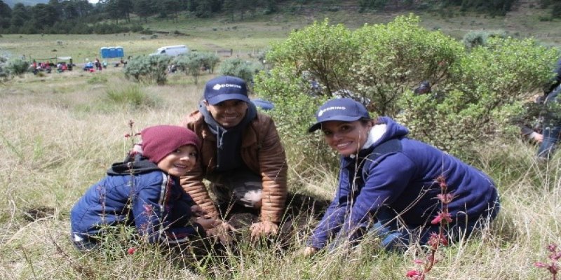 Domino Printing: Reforestando México por Tercer Año Consecutivo